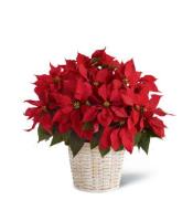 Fink Flowers, Gifts & Flower Delivery image 19